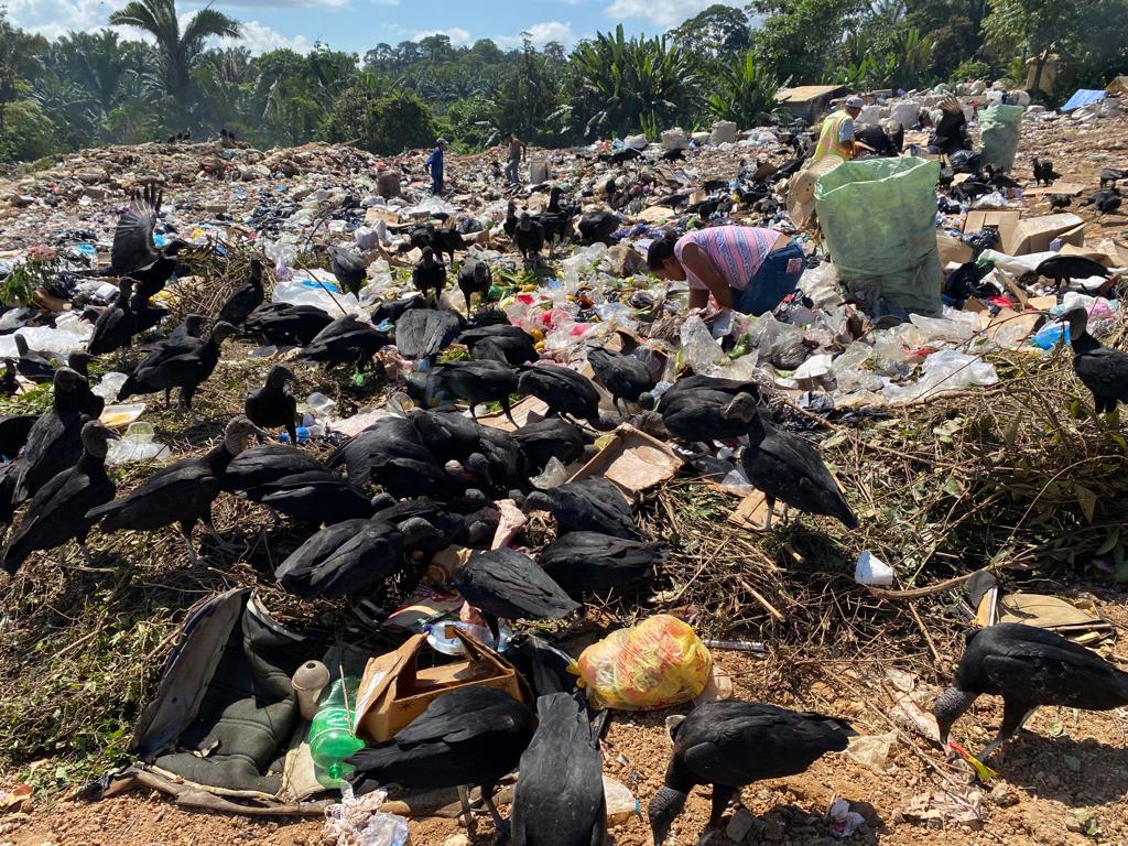 Vertedero a cielo abierto con recicladores y aves carroñeras